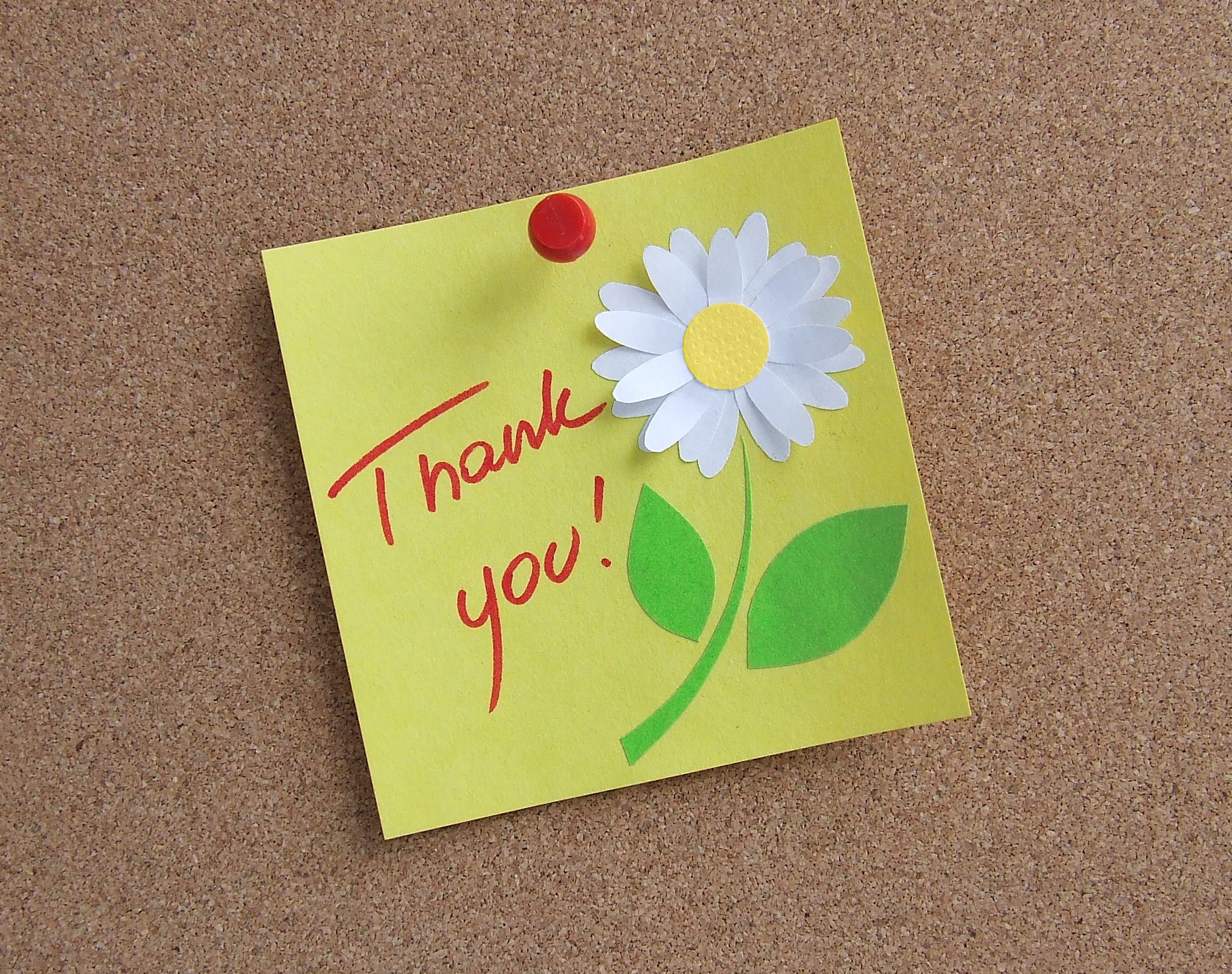 Beautiful Thank You Background - HD Wallpaper 