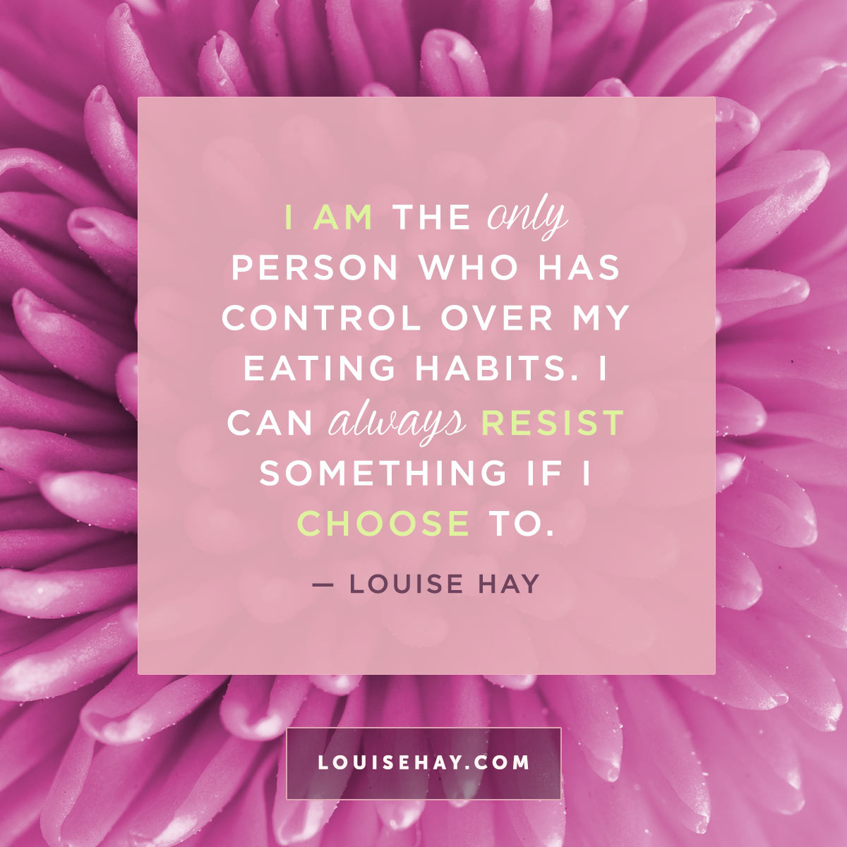 Inspirational Quotes About Healing - Louise Hay Quotes Healing - HD Wallpaper 