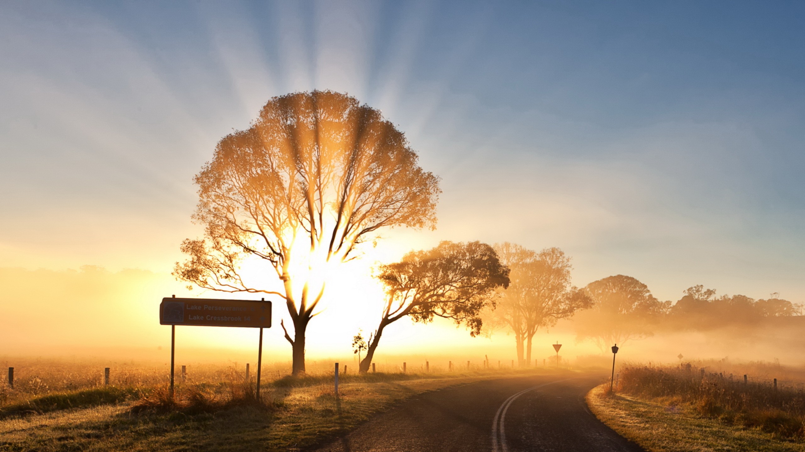 Good Morning Sun Hd - HD Wallpaper 
