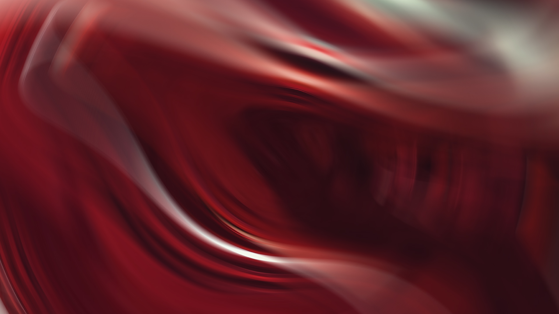 Close-up - HD Wallpaper 