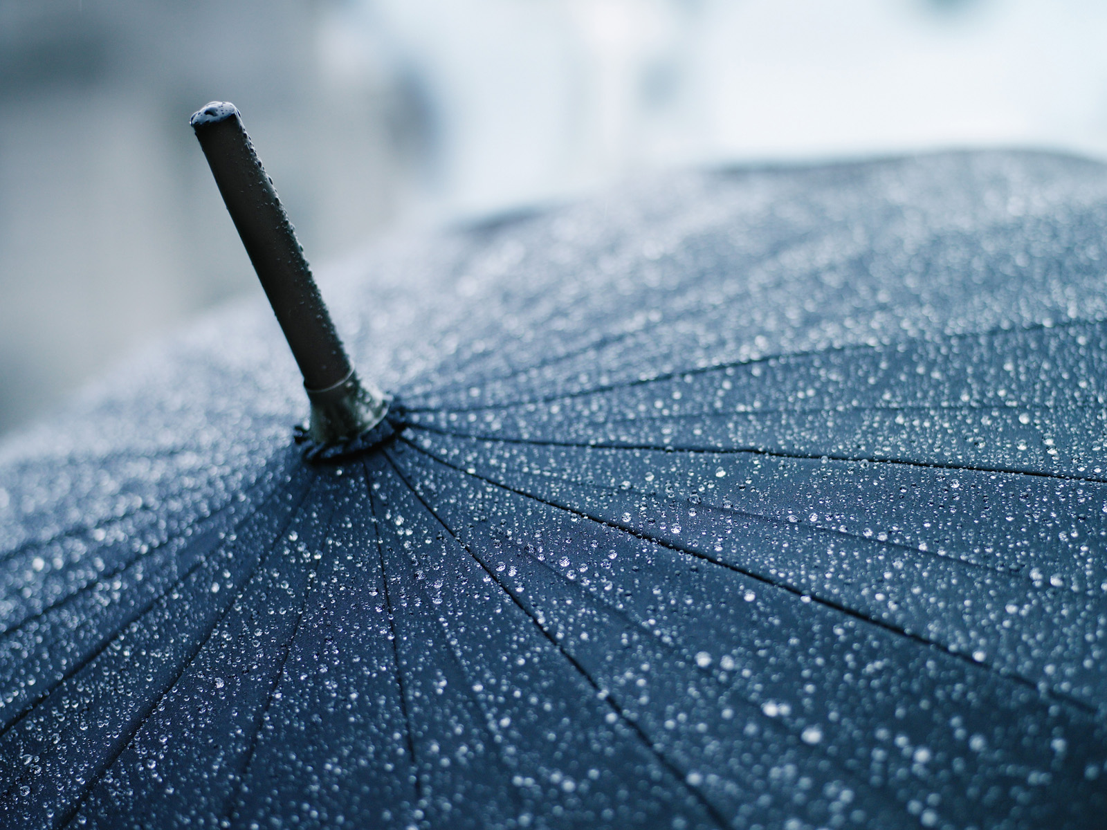 High Resolution Wallpaper Rain - HD Wallpaper 