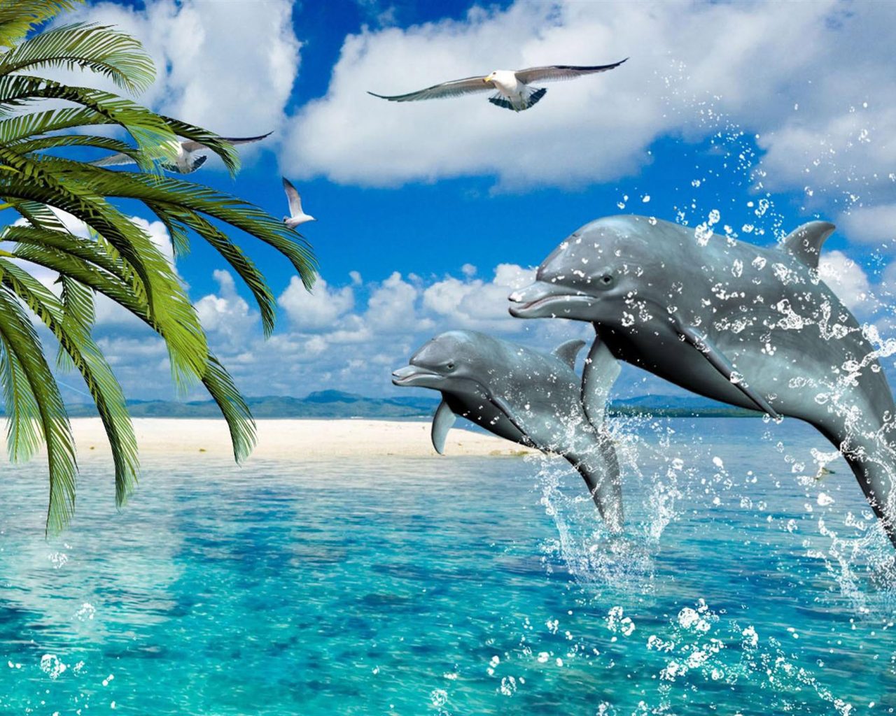 Dolphins Wallpaper Hd - HD Wallpaper 