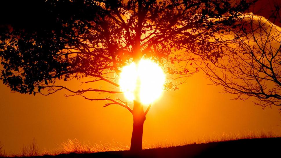 Sunset Sun Trees Silhouettes Pictures Free Wallpaper,sunrise - Nature Sunset View - HD Wallpaper 