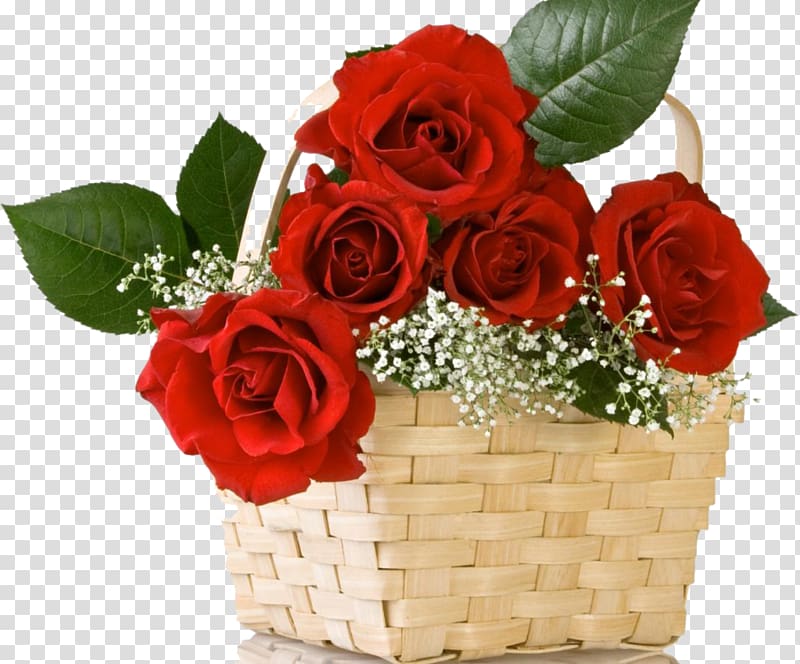 Valentine S Day Rose Propose Day Desktop , Baby Breath - Good Morning Fresh Flowers - HD Wallpaper 