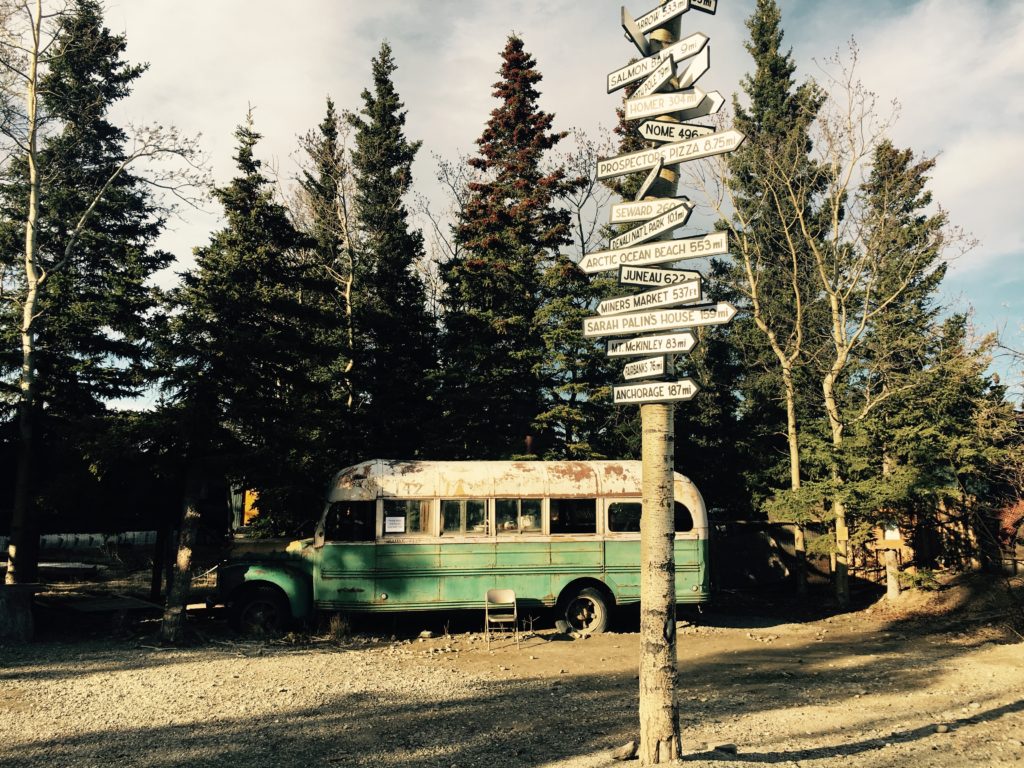 Bus Alaska - Shortleaf Black Spruce - HD Wallpaper 