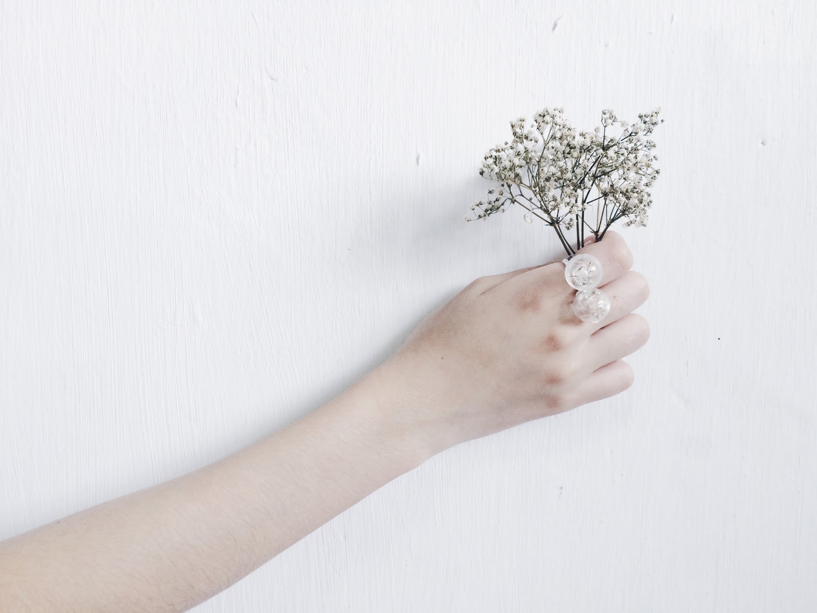 Cow Parsley - HD Wallpaper 