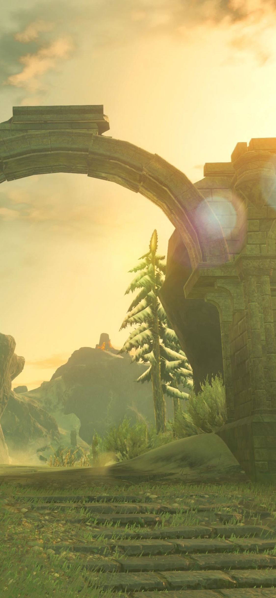 The Legend Of Zelda Background Lu Iphone X Wallpaper - Zelda Breath Of The Wild Ruins - HD Wallpaper 