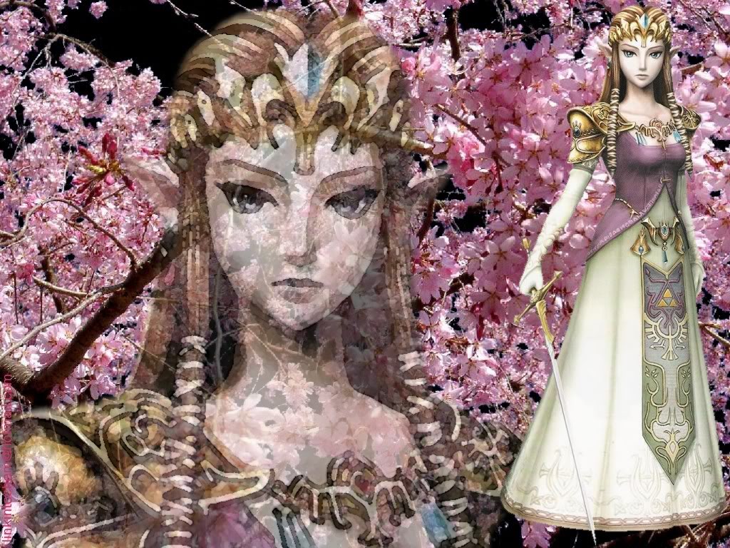 Princess Zelda Wallpaper - HD Wallpaper 