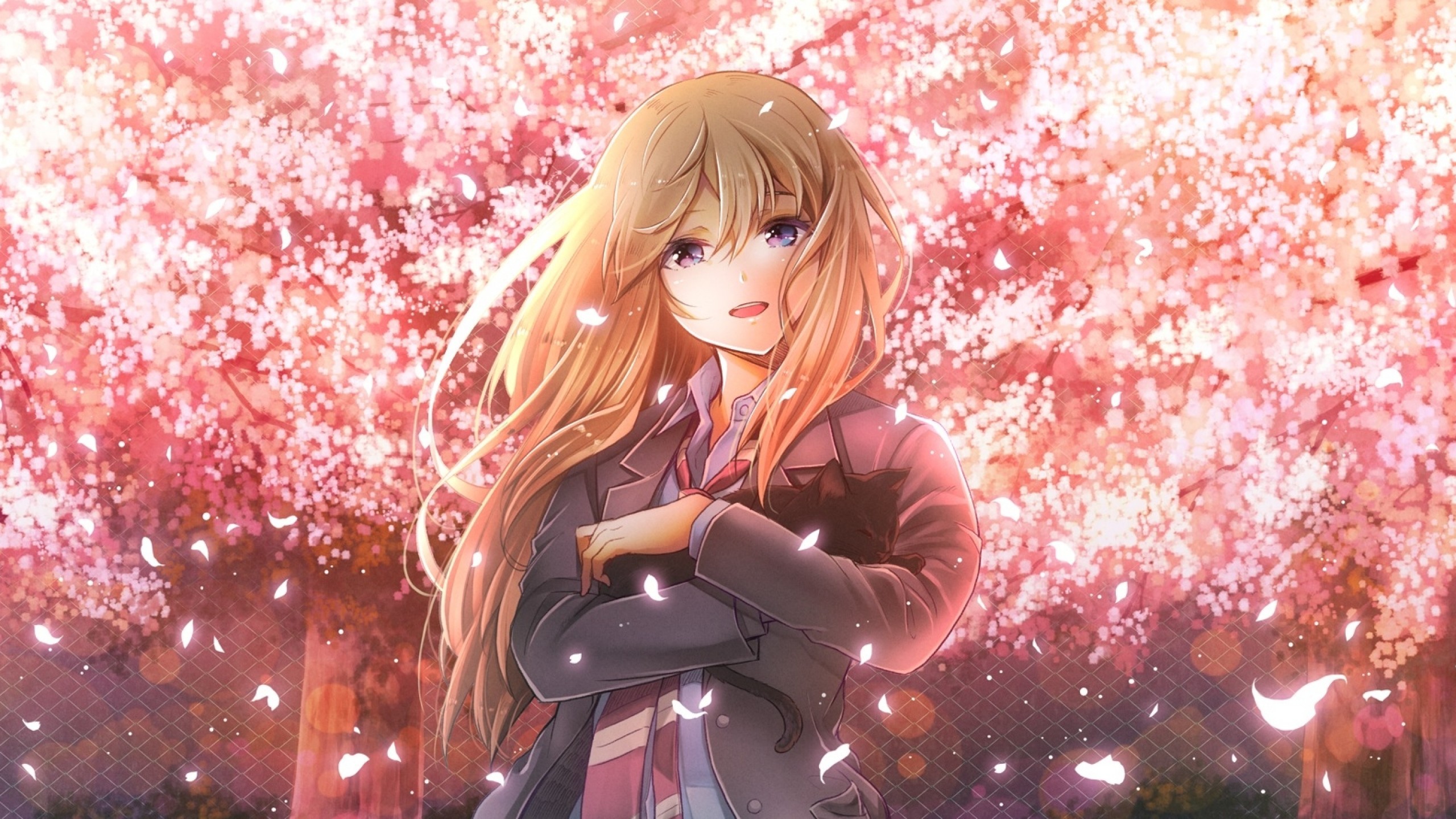 Shigatsu Wa Kimi No Uso, Miyazono Kaori, Sakura Blossom, - 2 Hour Beautiful Piano Music For Studying - HD Wallpaper 