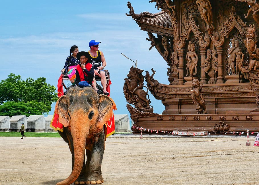 Thailand, Travel, Elephant, Temple, Sanctuary Or Truth, - Travelers Thailand - HD Wallpaper 