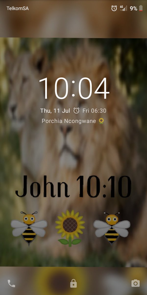 Daisy - HD Wallpaper 