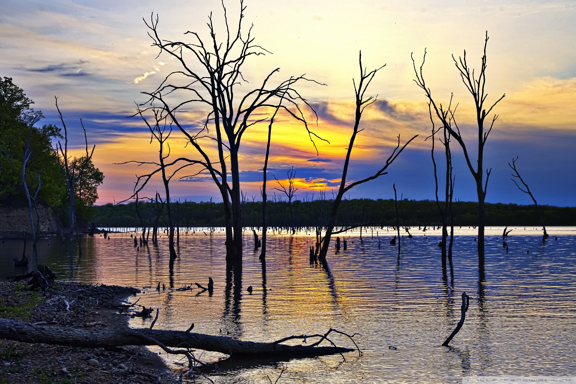 Mobile Phone - HD Wallpaper 