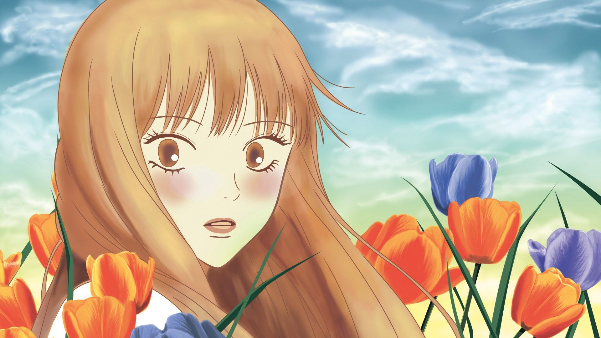 Anime - HD Wallpaper 