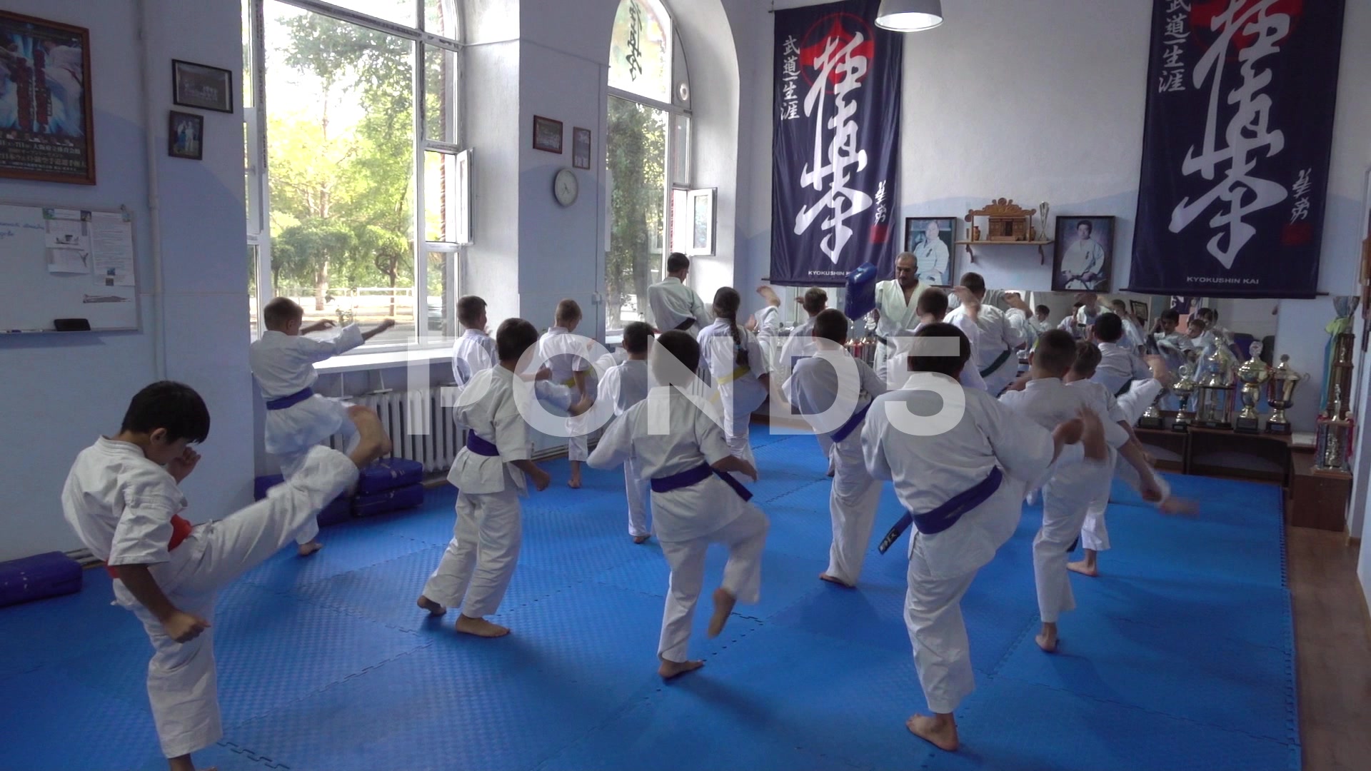 Kyokushin - HD Wallpaper 