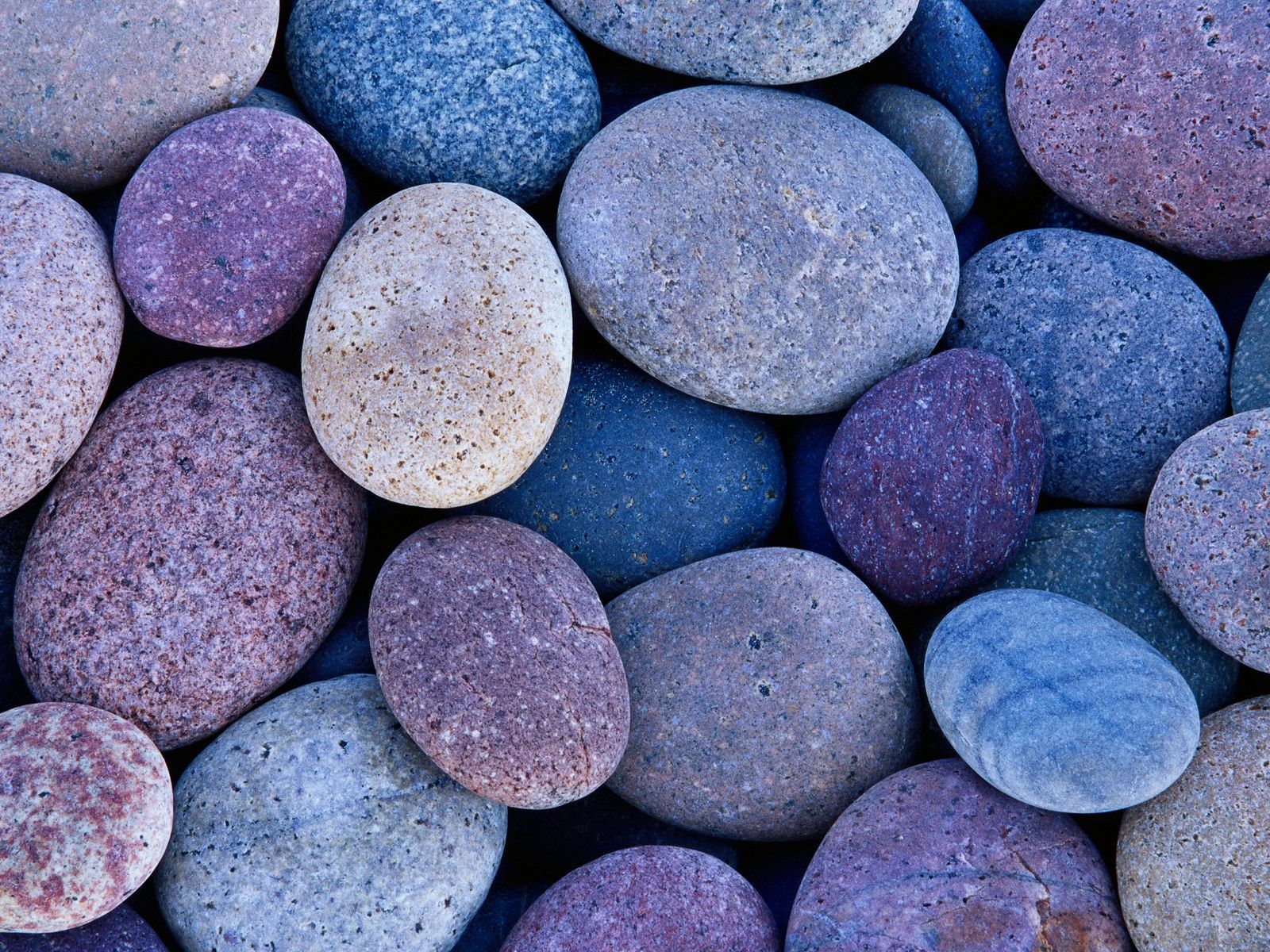 Pebble, Stones, Blue, Purple - Rocks Background - HD Wallpaper 