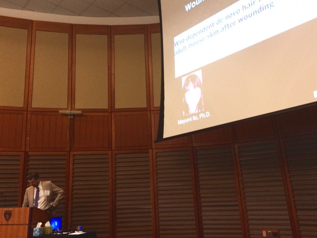 Seminar - HD Wallpaper 