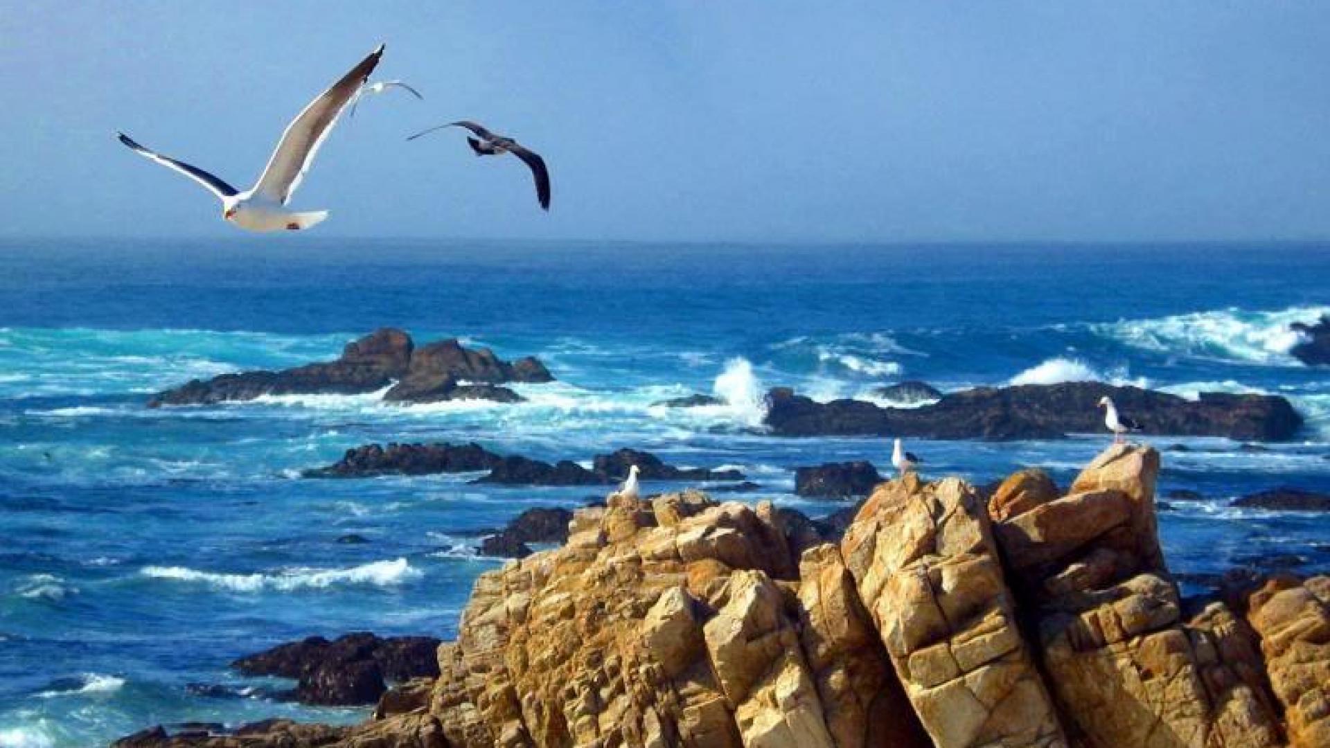 Free Newest Pebble Beach Wallpaper - HD Wallpaper 