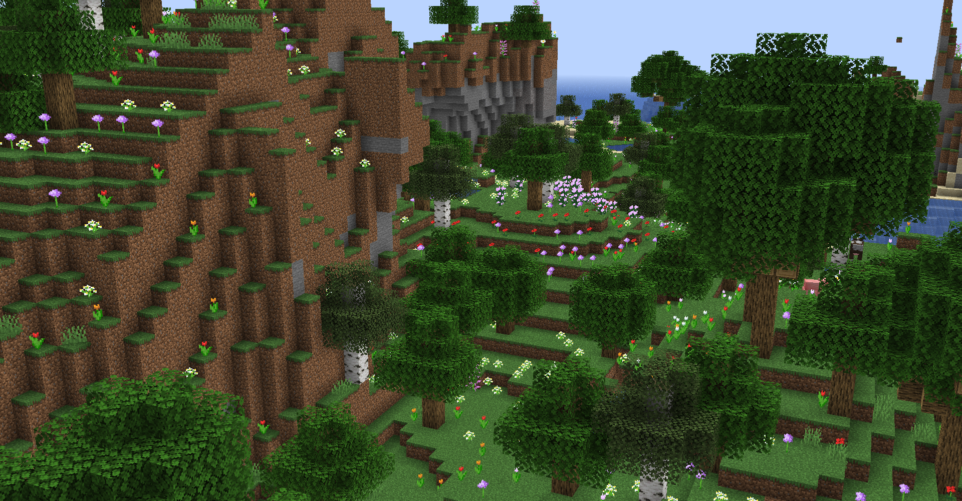 Cypress Family - HD Wallpaper 