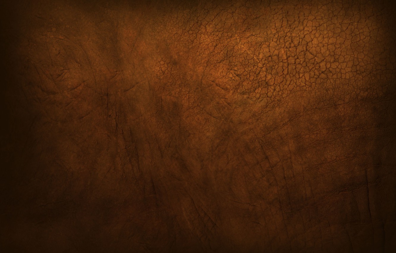 Photo Wallpaper Brown, Muddy, Gutsy, Elephant Skin, - Brown Background - HD Wallpaper 