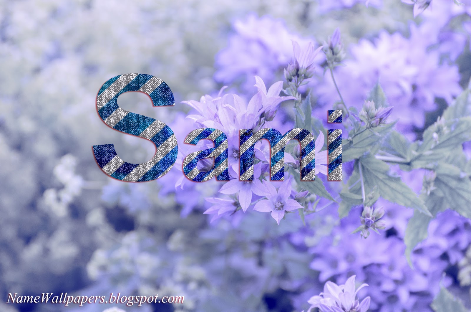 English Lavender - HD Wallpaper 