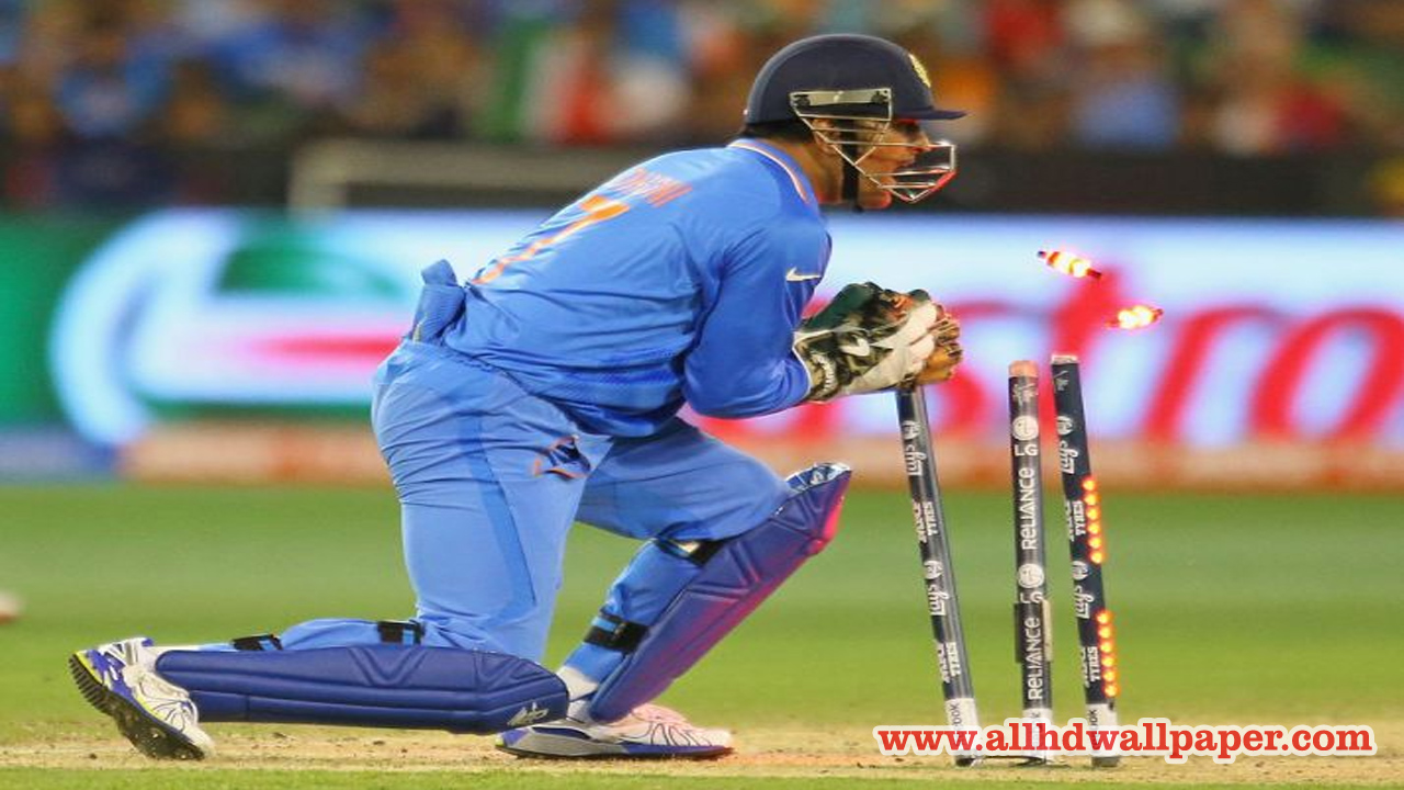 Download Hd Wallpapers For Ms Dhoni - Ms Dhoni Best Stumping - 1280x720 Wallpaper Download Hd Wallpapers For Ms Dhoni - Ms Dhoni Best Stumping - 1280x720 Wallpaper