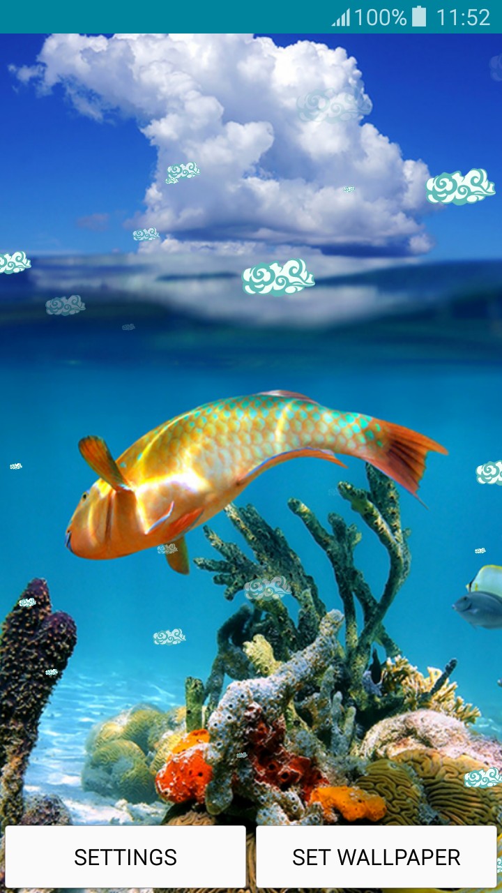 Live Wallpapers Under The Sea - Fondos De Pantallas De Abajo Del Mar - HD Wallpaper 