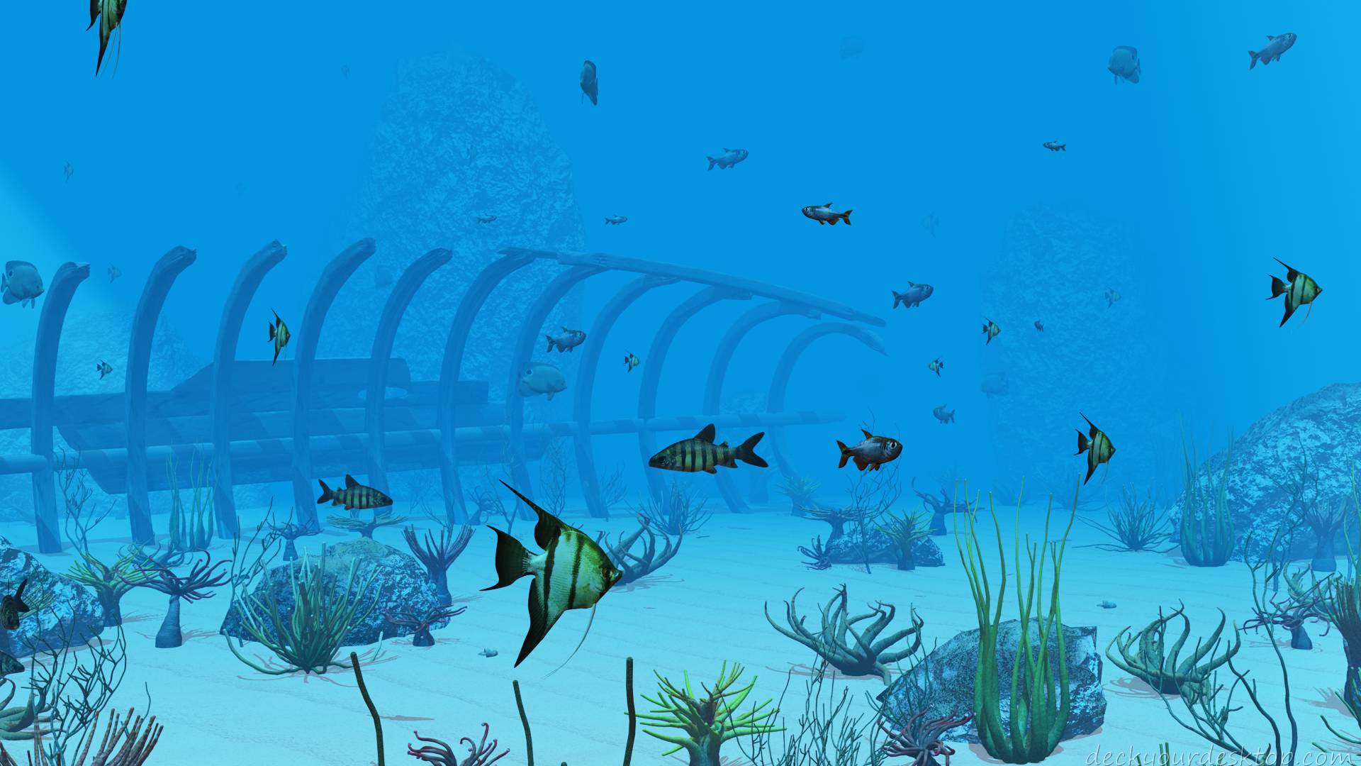 3d Under The Sea Wallpaper - Amazing Under The Sea - HD Wallpaper 