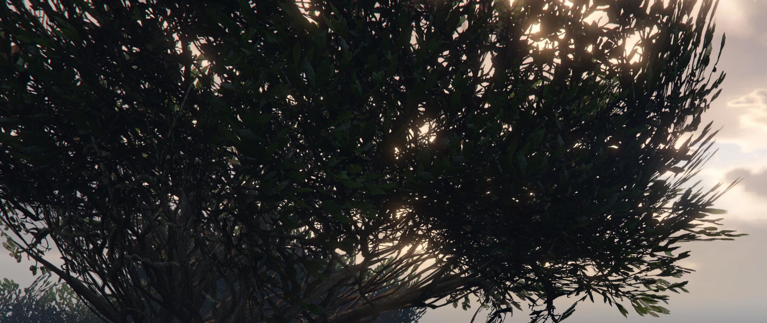 Download Hd Grand Theft Auto V Computer Wallpaper Id - Willow - HD Wallpaper 