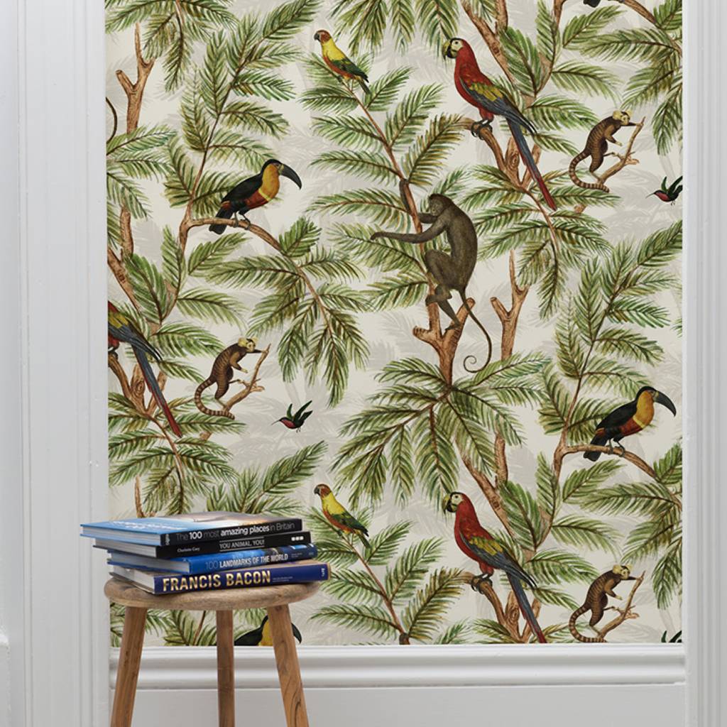 Graduate Collection Jungle - HD Wallpaper 