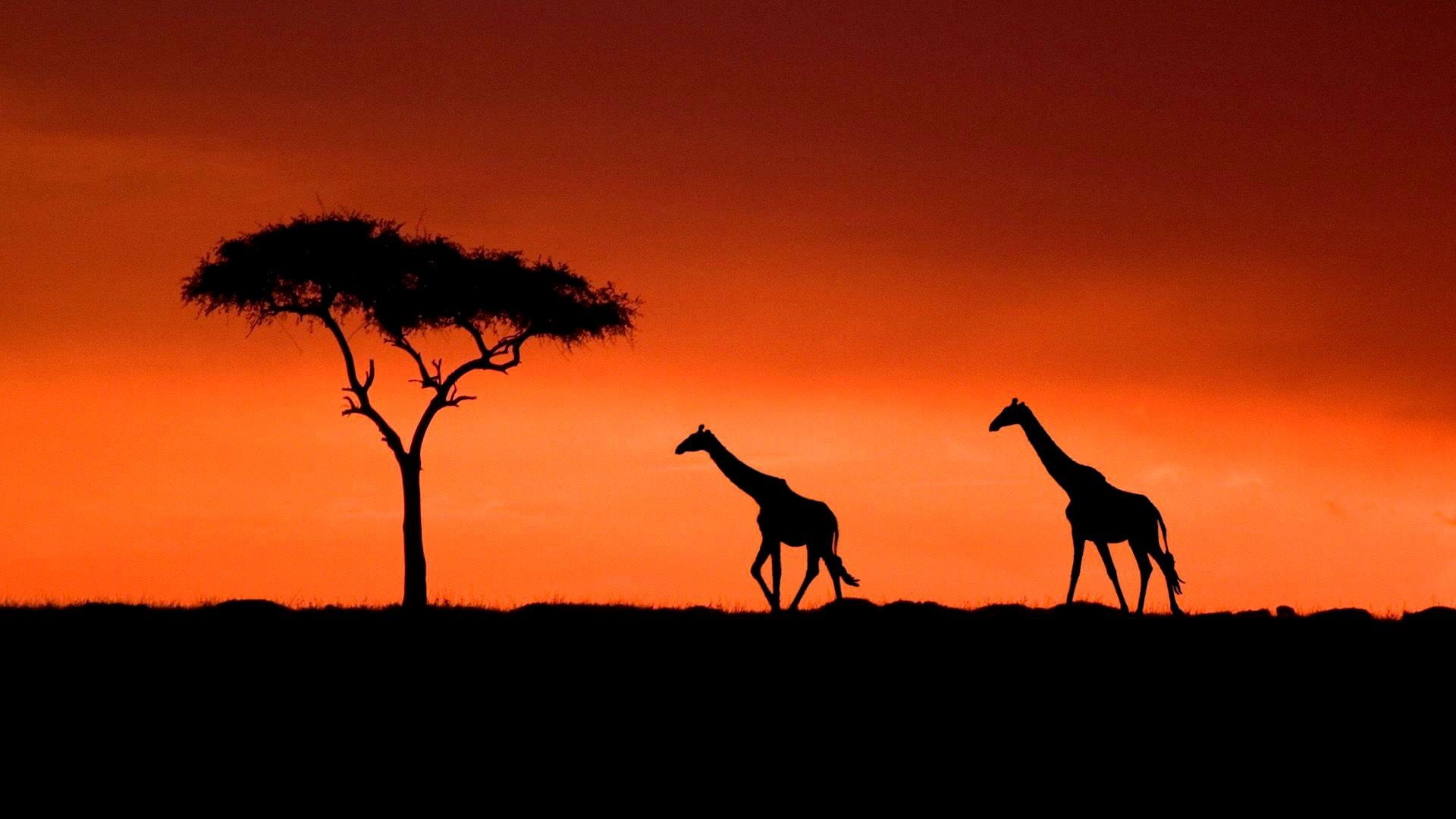 1920x1080, Traditional African Music Compilation - Masai Mara - HD Wallpaper 