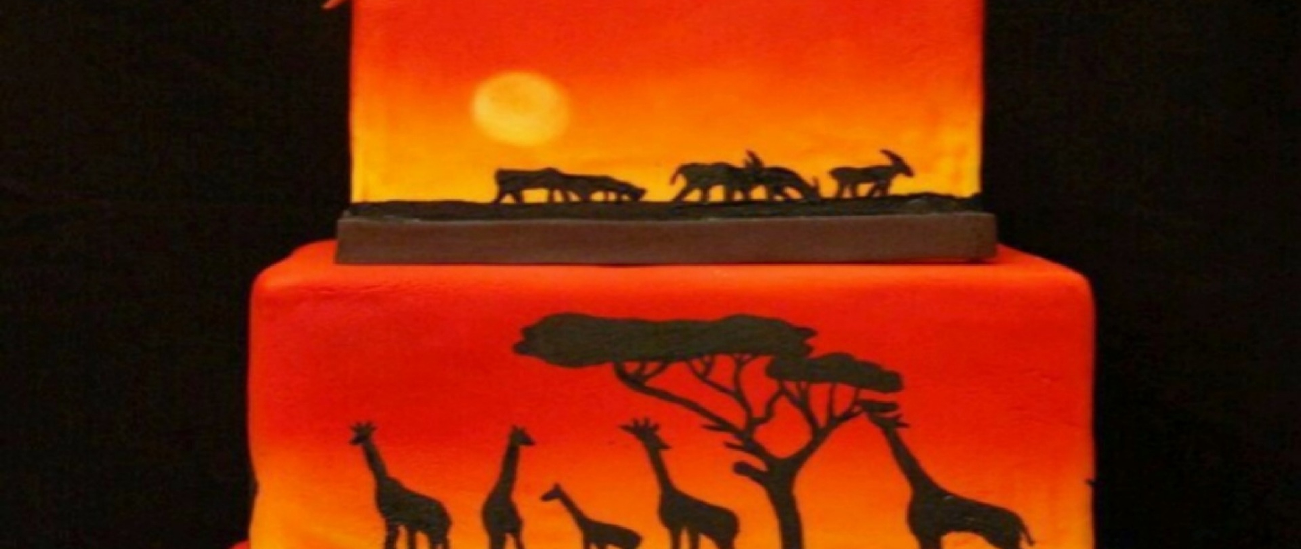 Giraffe - HD Wallpaper 