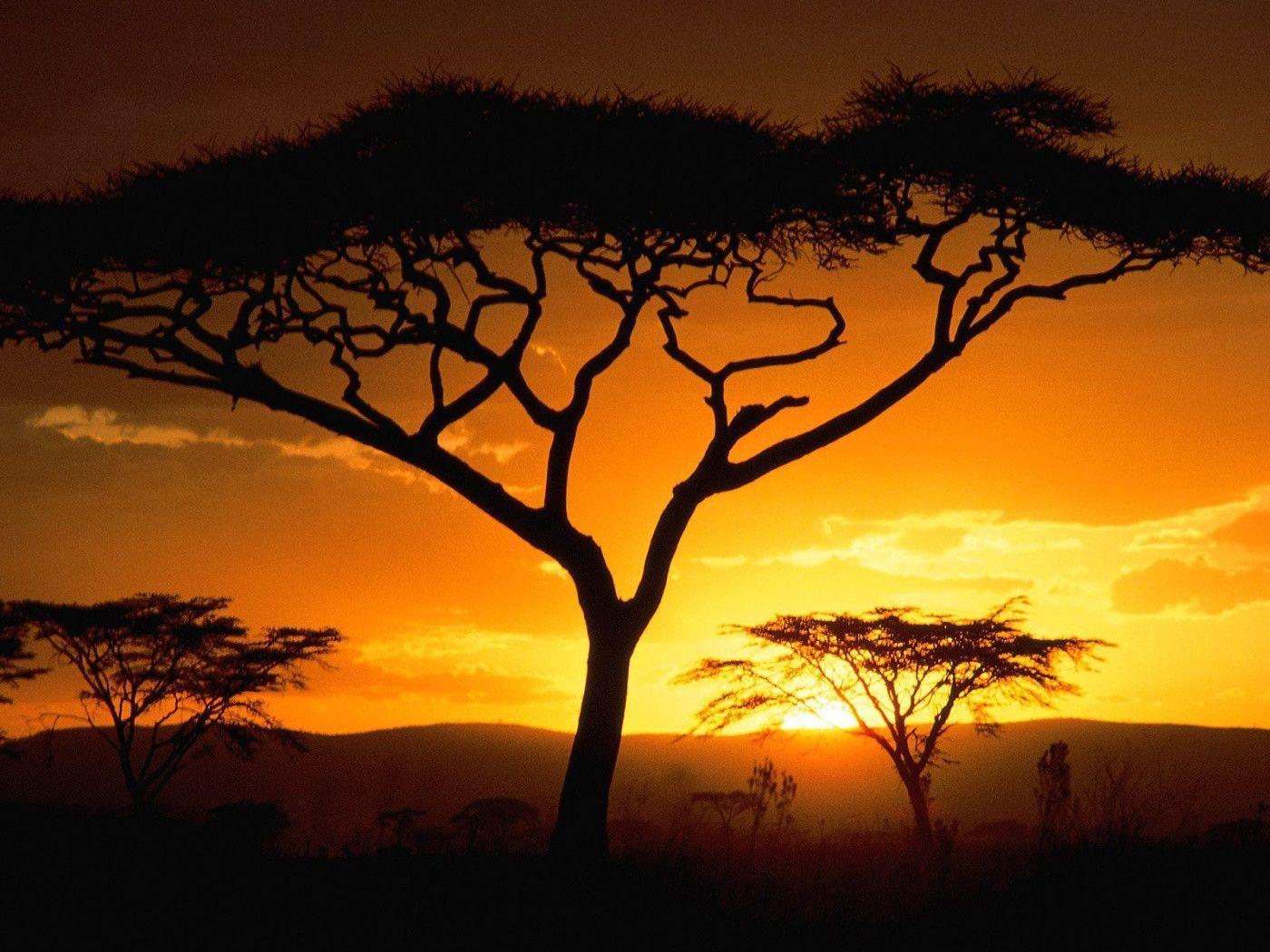 African Sunset - HD Wallpaper 