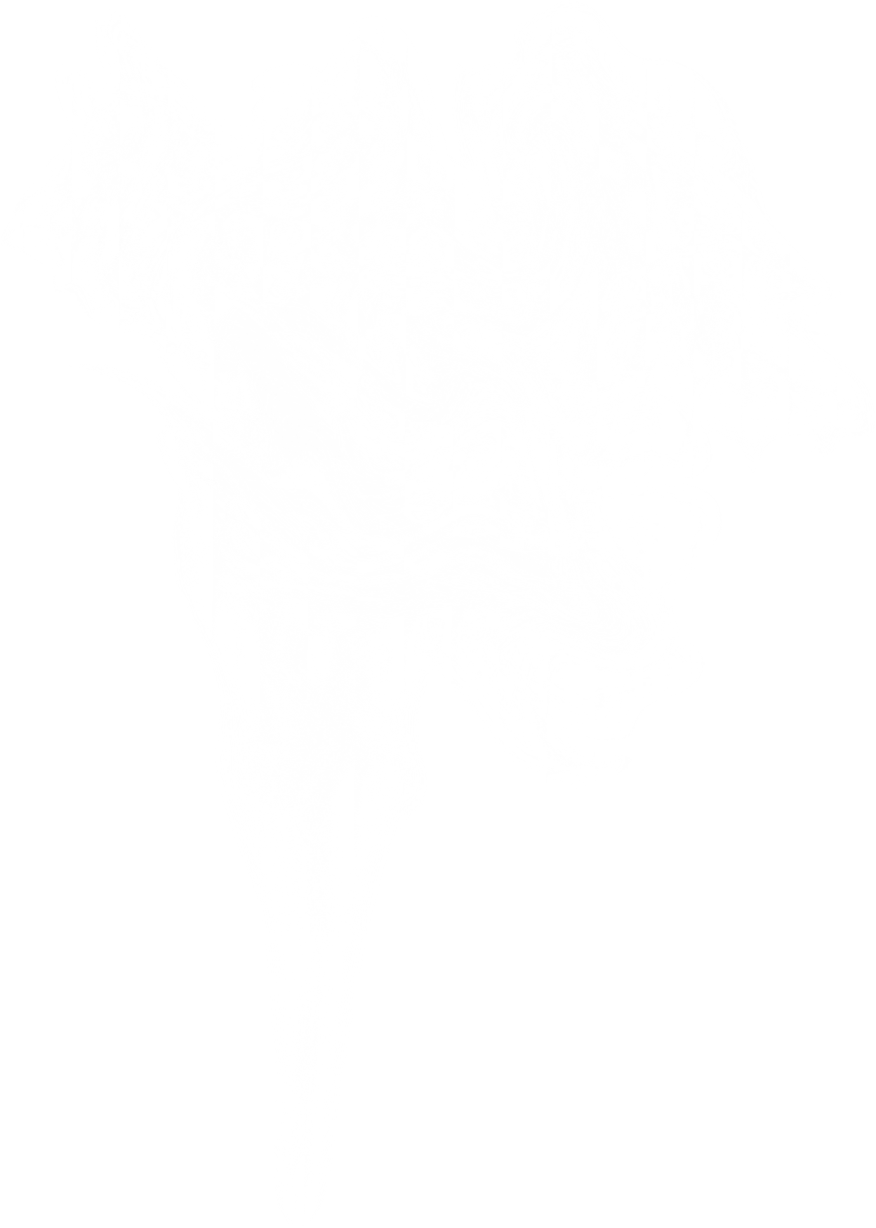 Smoke Png - White Smoke Transparent Background Png - HD Wallpaper 