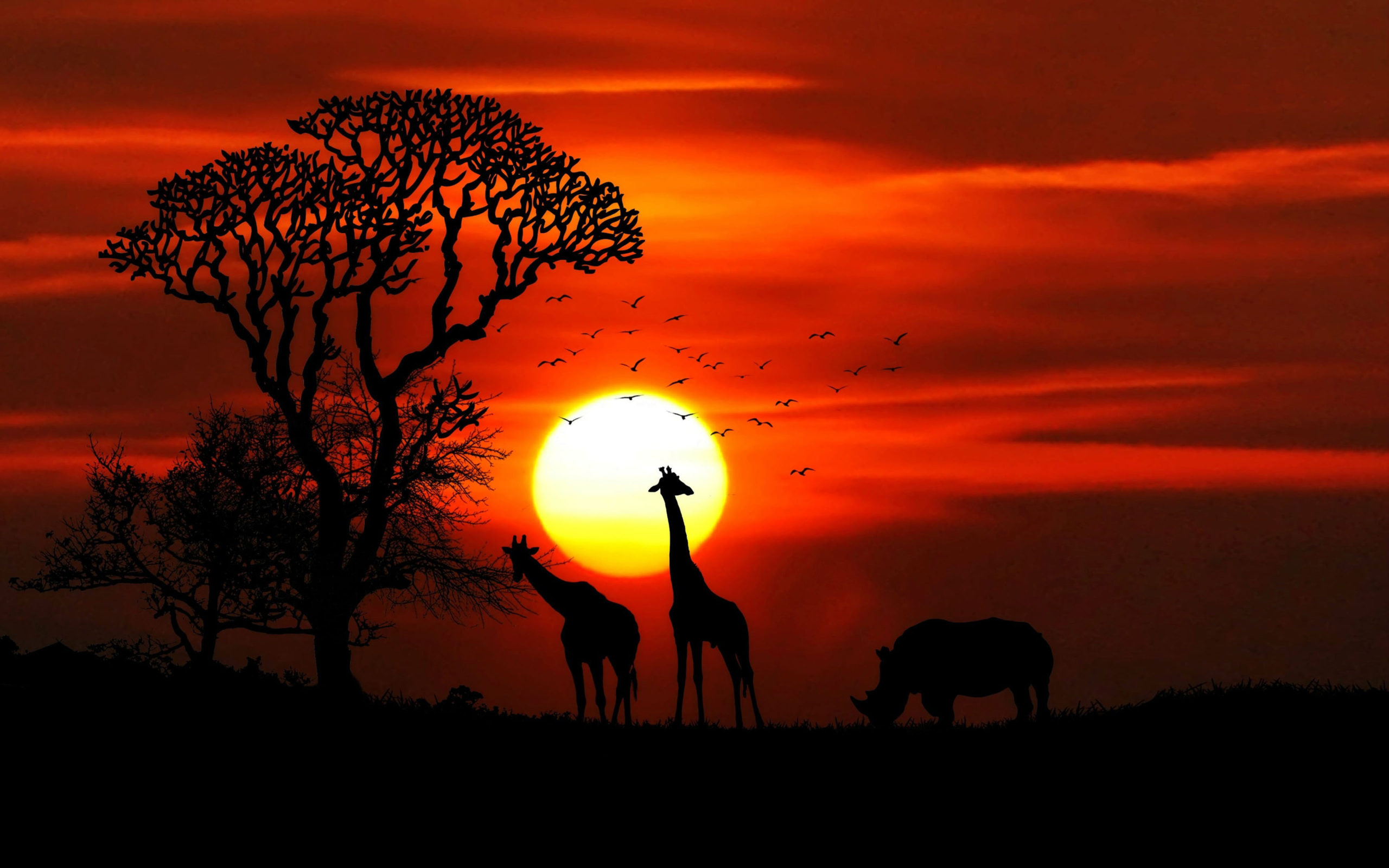 Nature Sky Wallpaper - HD Wallpaper 