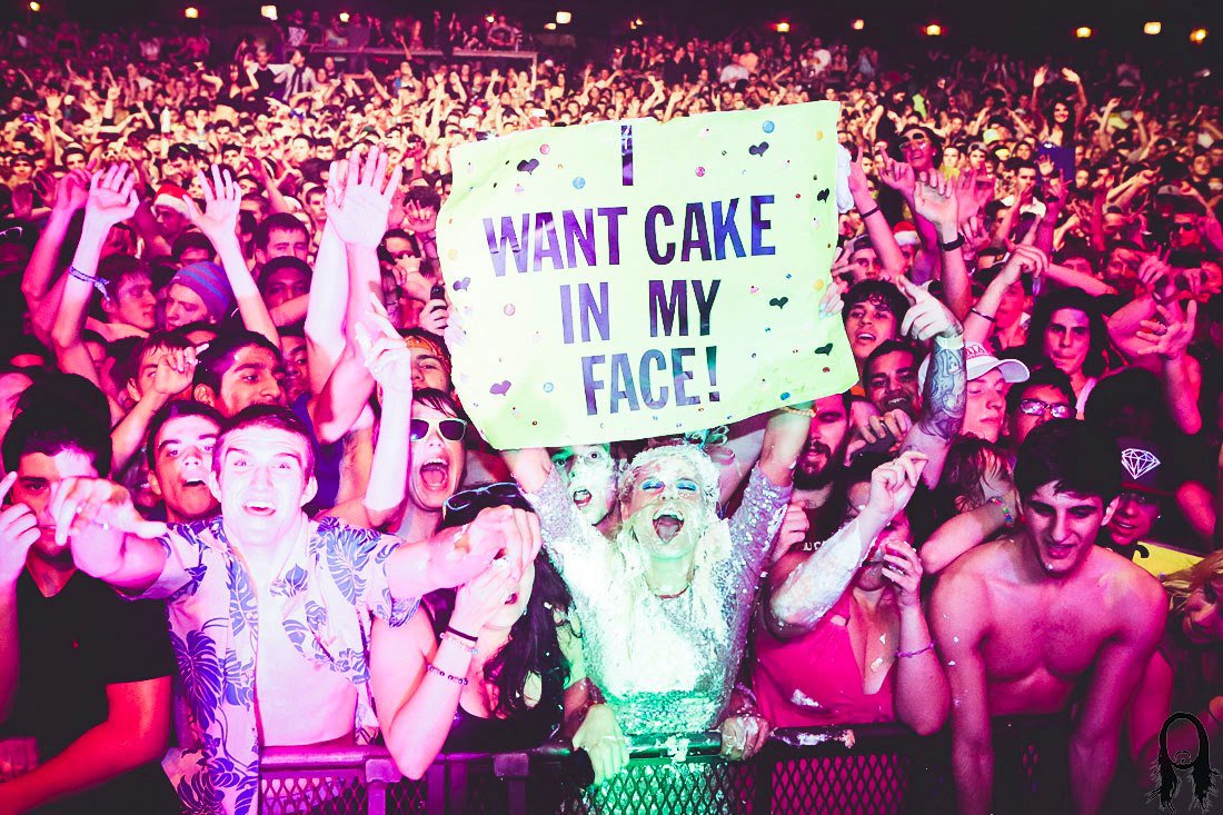 Steve Aoki Wallpaper - HD Wallpaper 