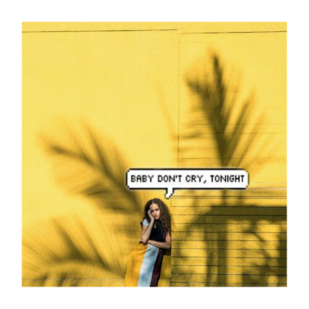 Editorial Shadows Fashion Palm - HD Wallpaper 