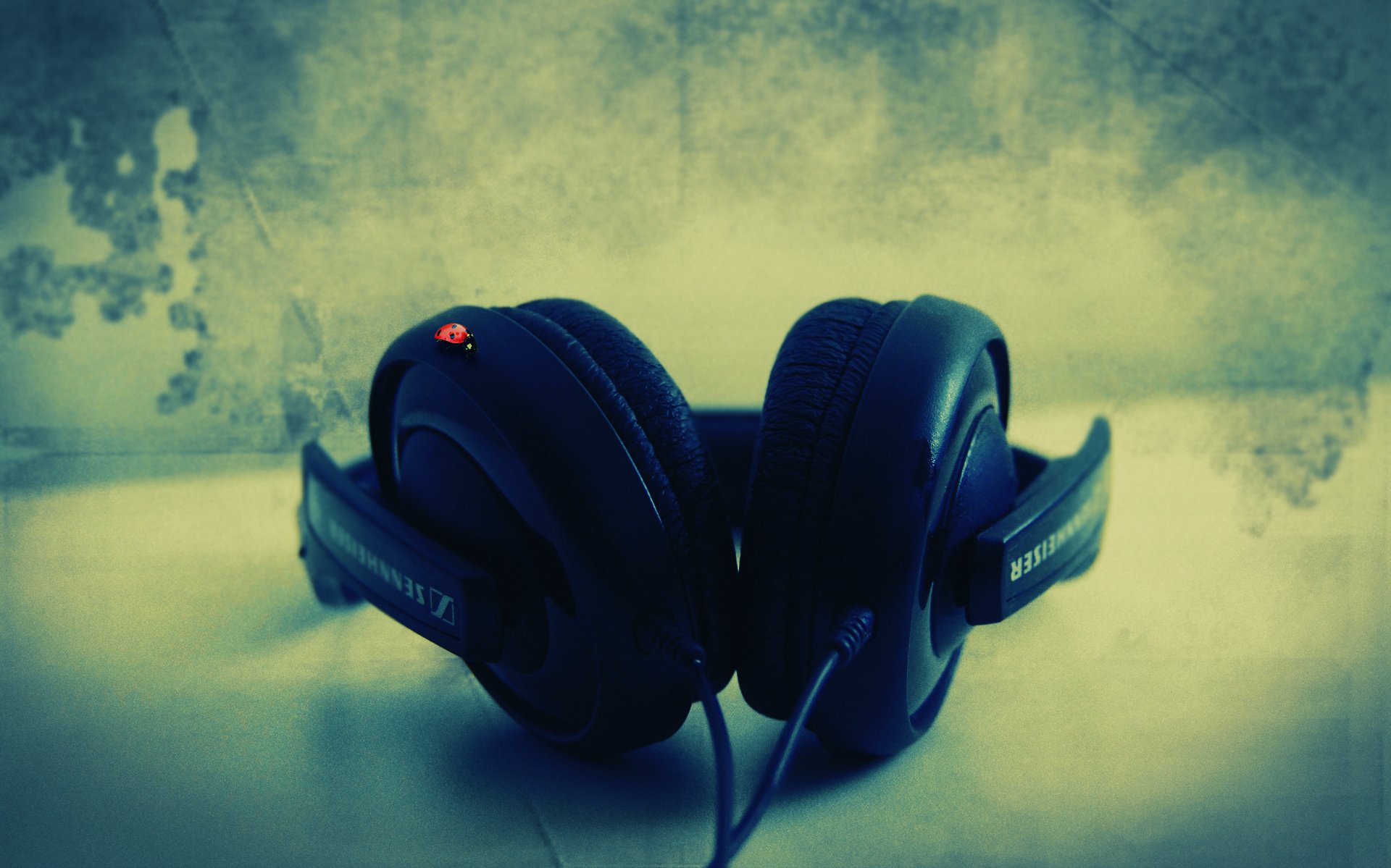 Headphone Sennheiser Hd 206 - HD Wallpaper 