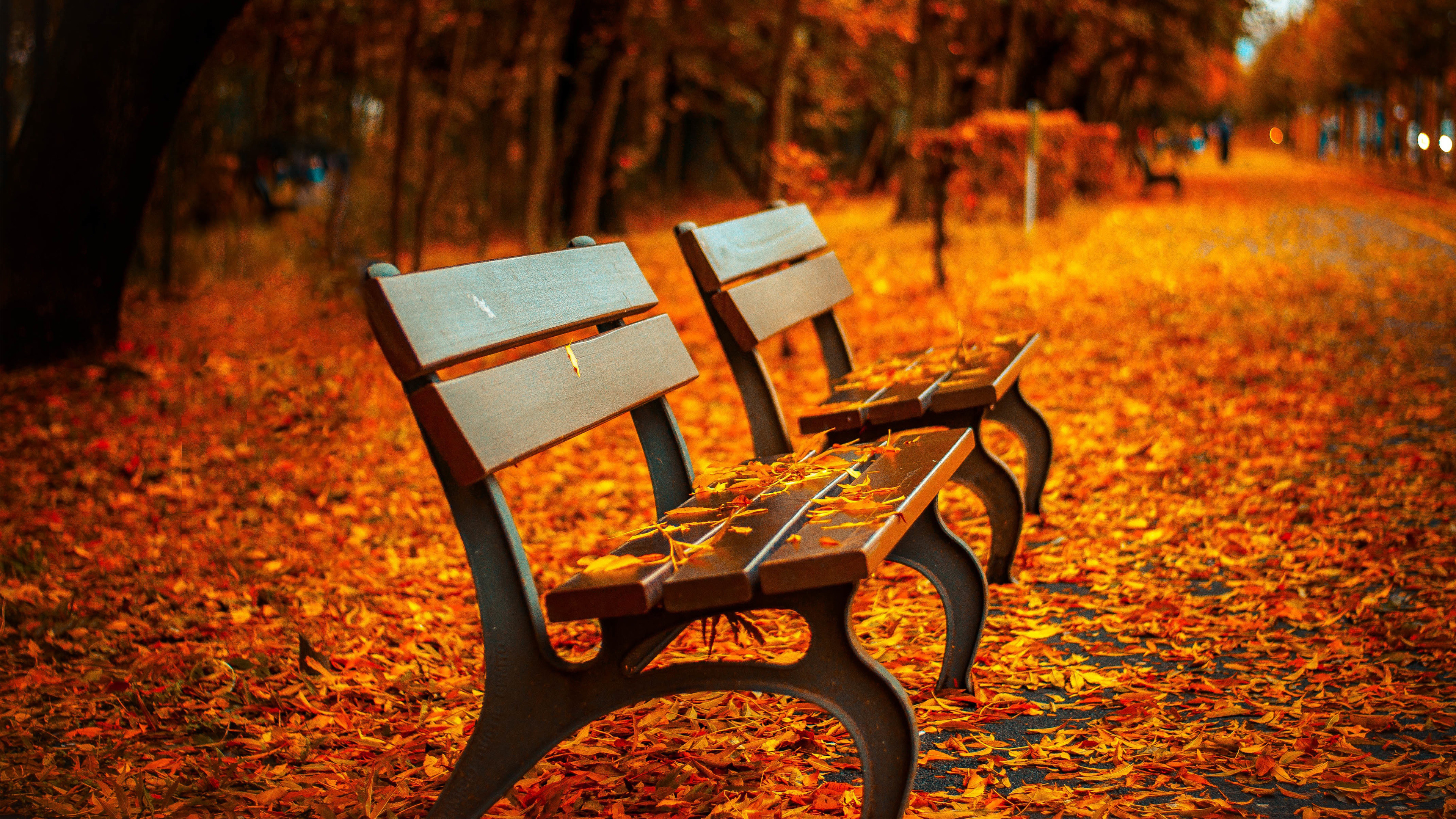 Autumn Wallpapers Data Src Autumn Pictures Wallpaper - Dslr Background  Photo Hd - 3840x2160 Wallpaper 