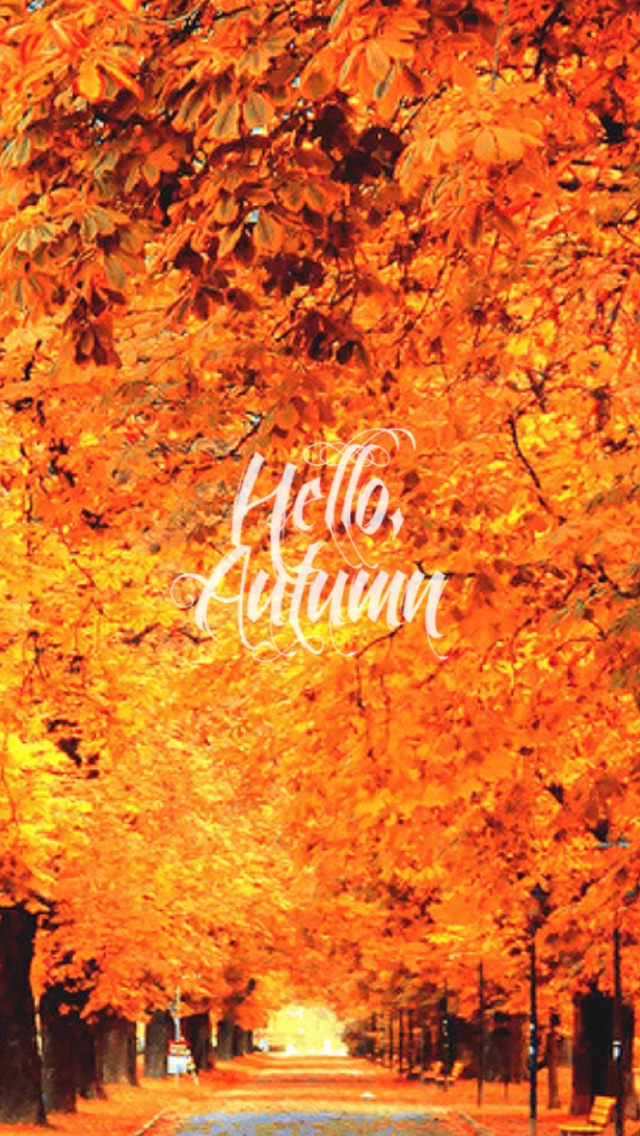 Lock Screen Autumn Wallpaper Iphone - HD Wallpaper 