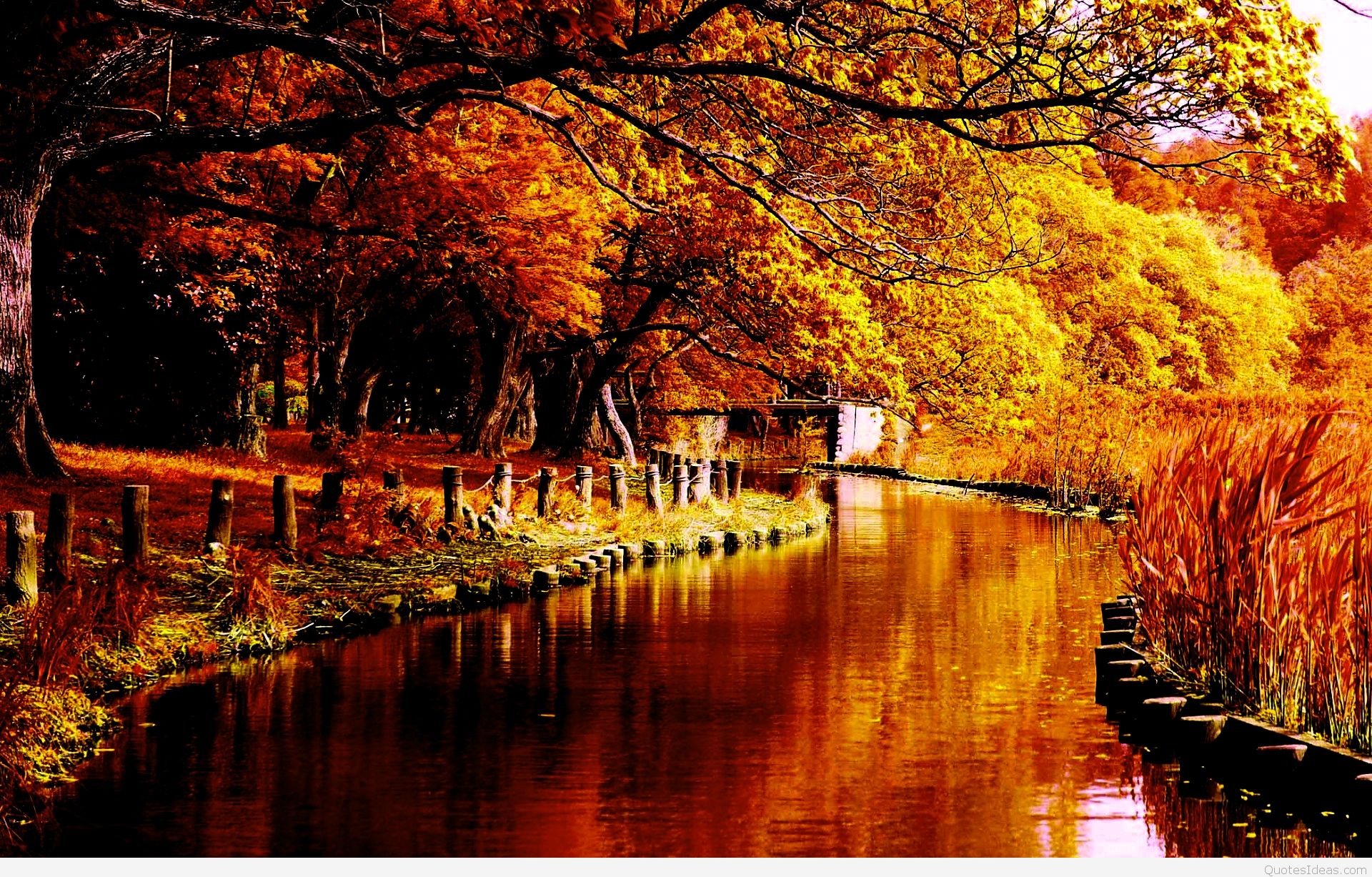 Autumn River In Forest - HD Wallpaper 