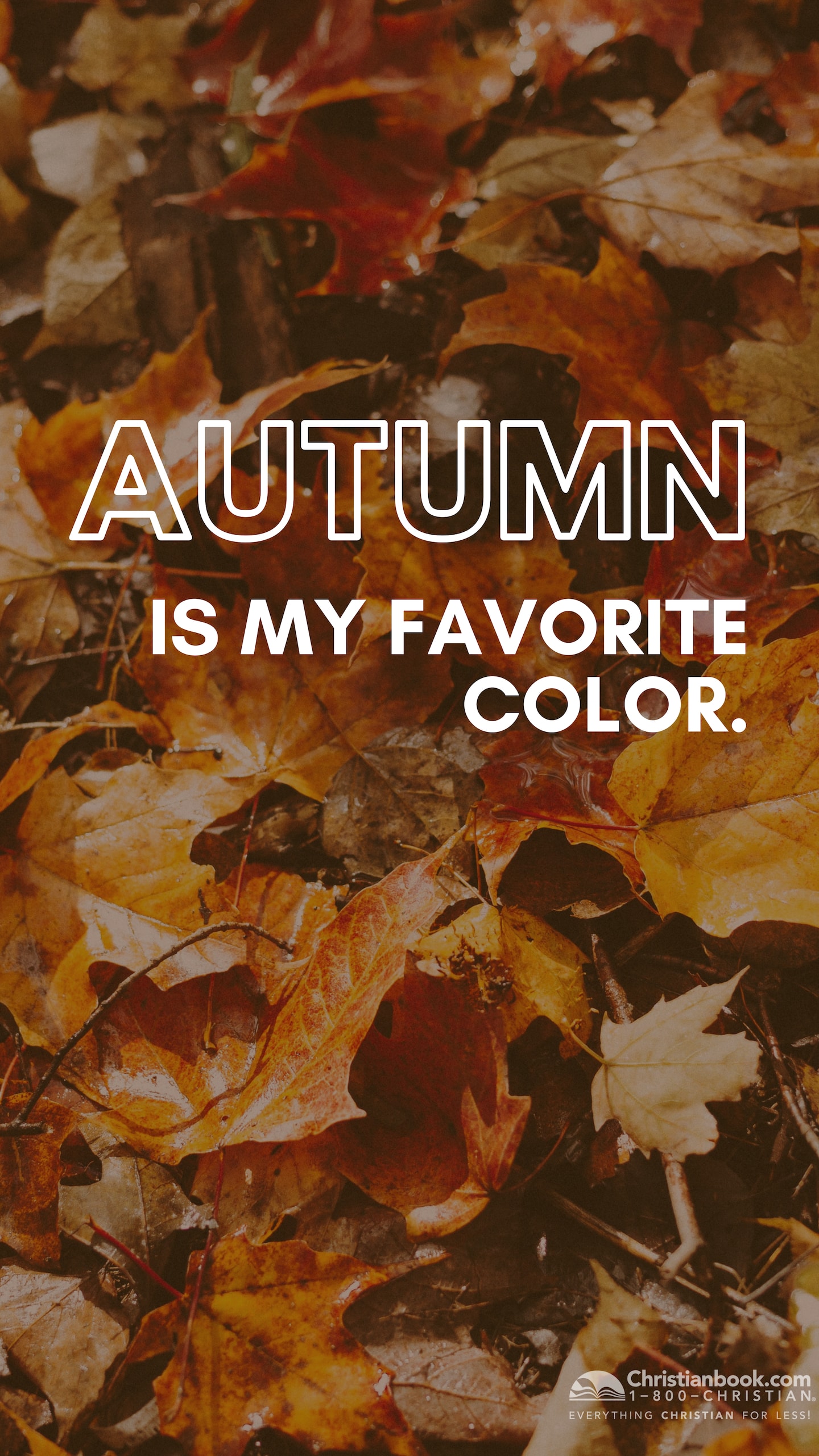 Autumn - HD Wallpaper 