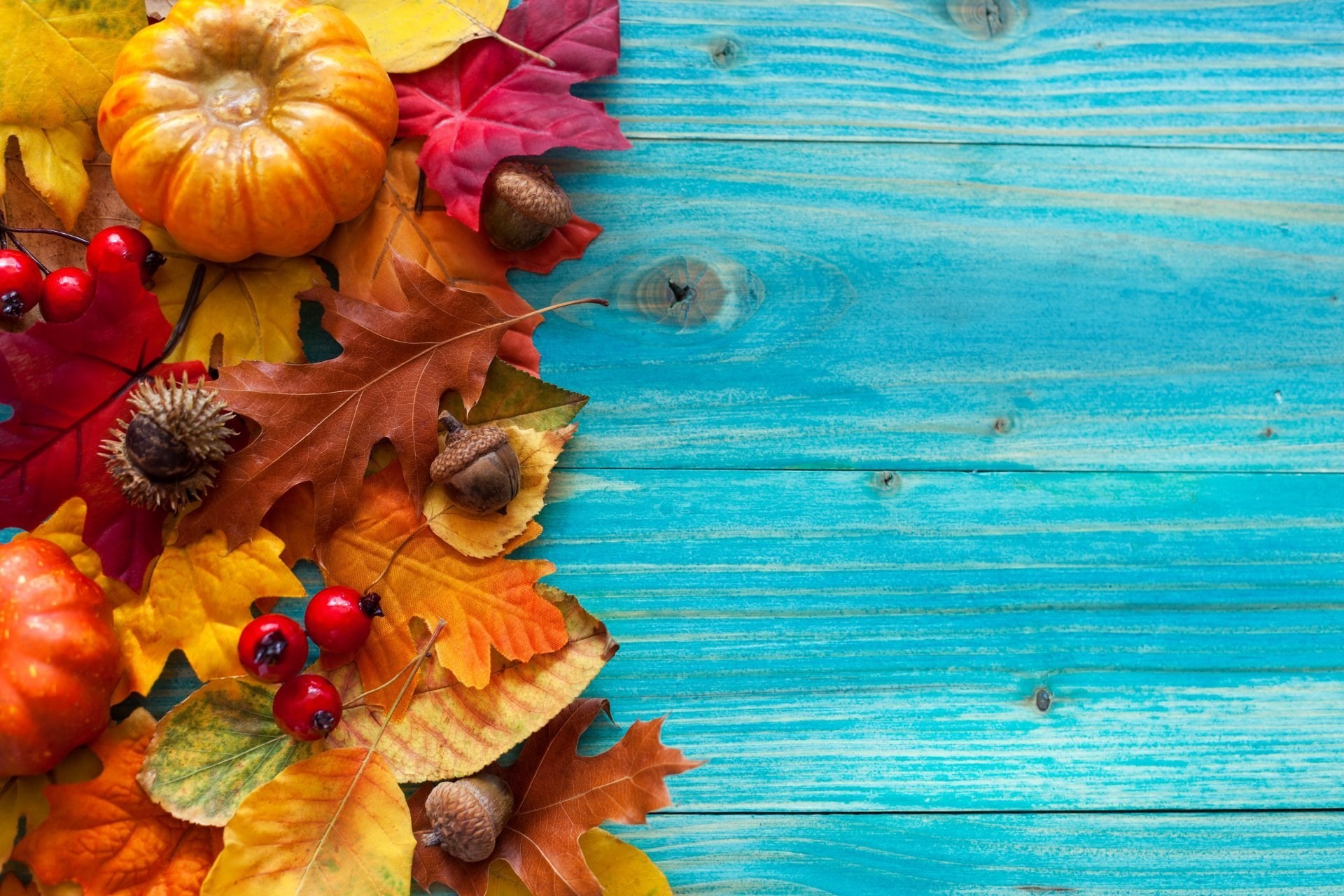 Fall Leaves And Pumpkin - HD Wallpaper 