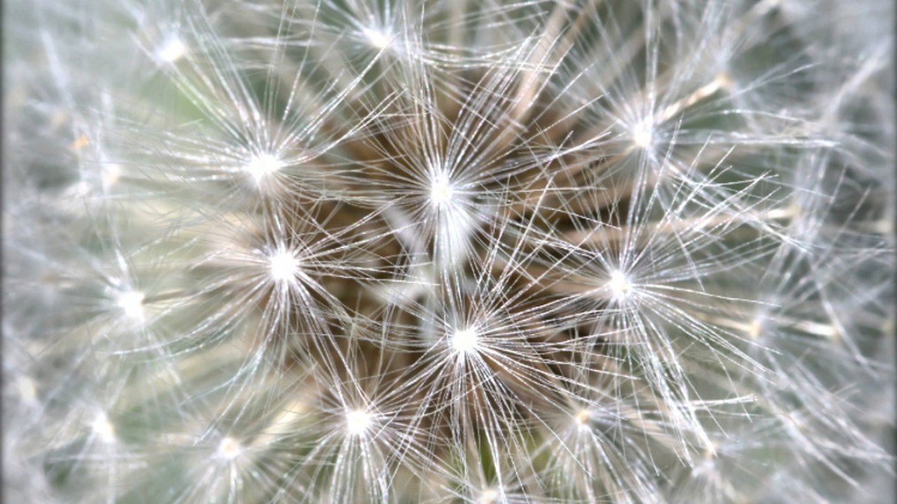 Full Screen For Pc - HD Wallpaper 