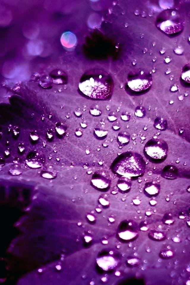 Purple Wallpaper Purple Rain Backgrounds For My Phone - Samsung Hd Wallpapers For Mobile - HD Wallpaper 