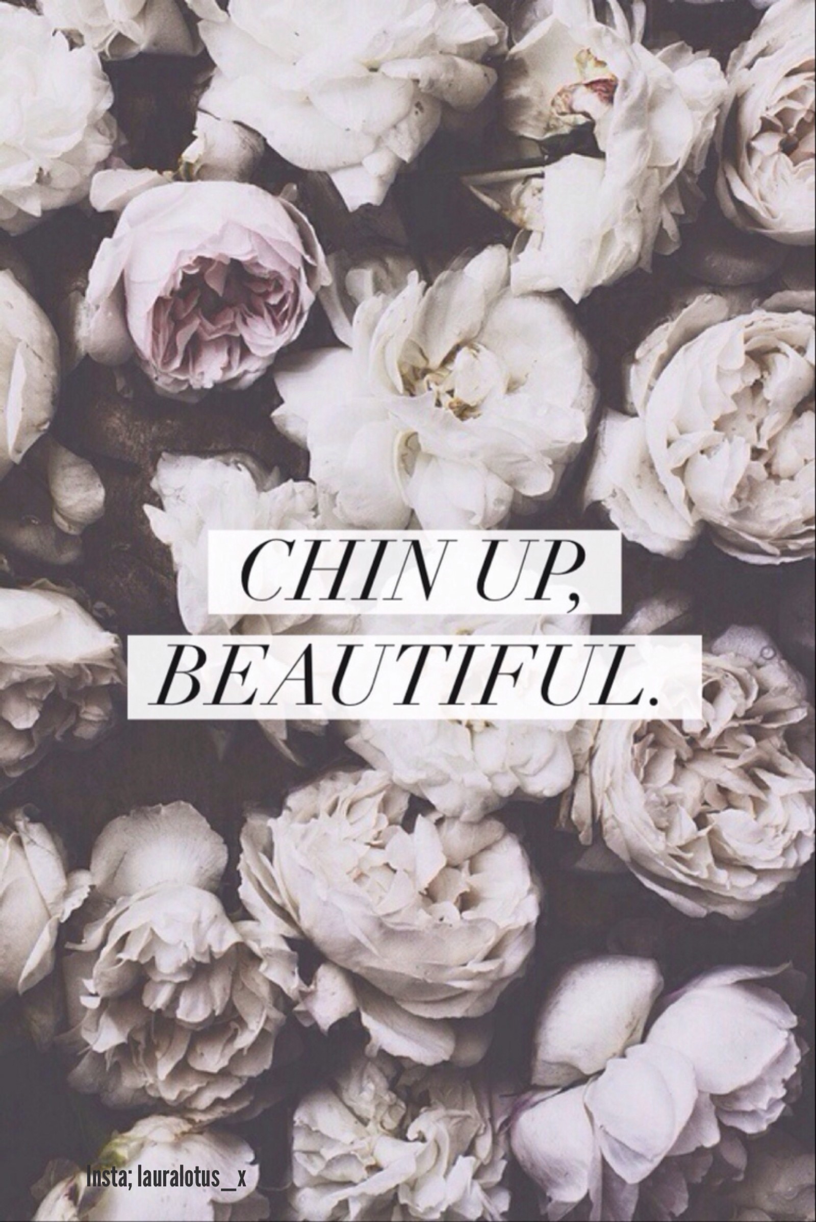447 Flower Wallpaper Quotes Tumblr Pictures MyWeb