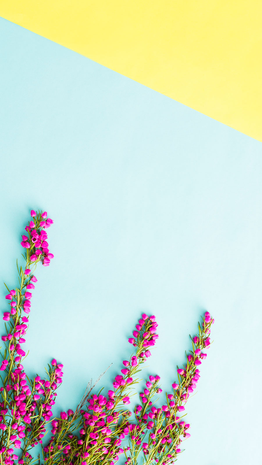 Minimal Floral Iphone Background - HD Wallpaper 