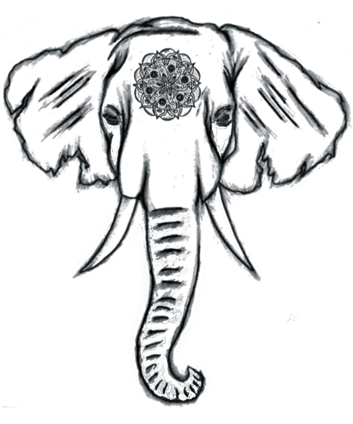 Bambi Drawing Transparent Tumblr For Free Download - Easy Things To Draw Elephant - HD Wallpaper 