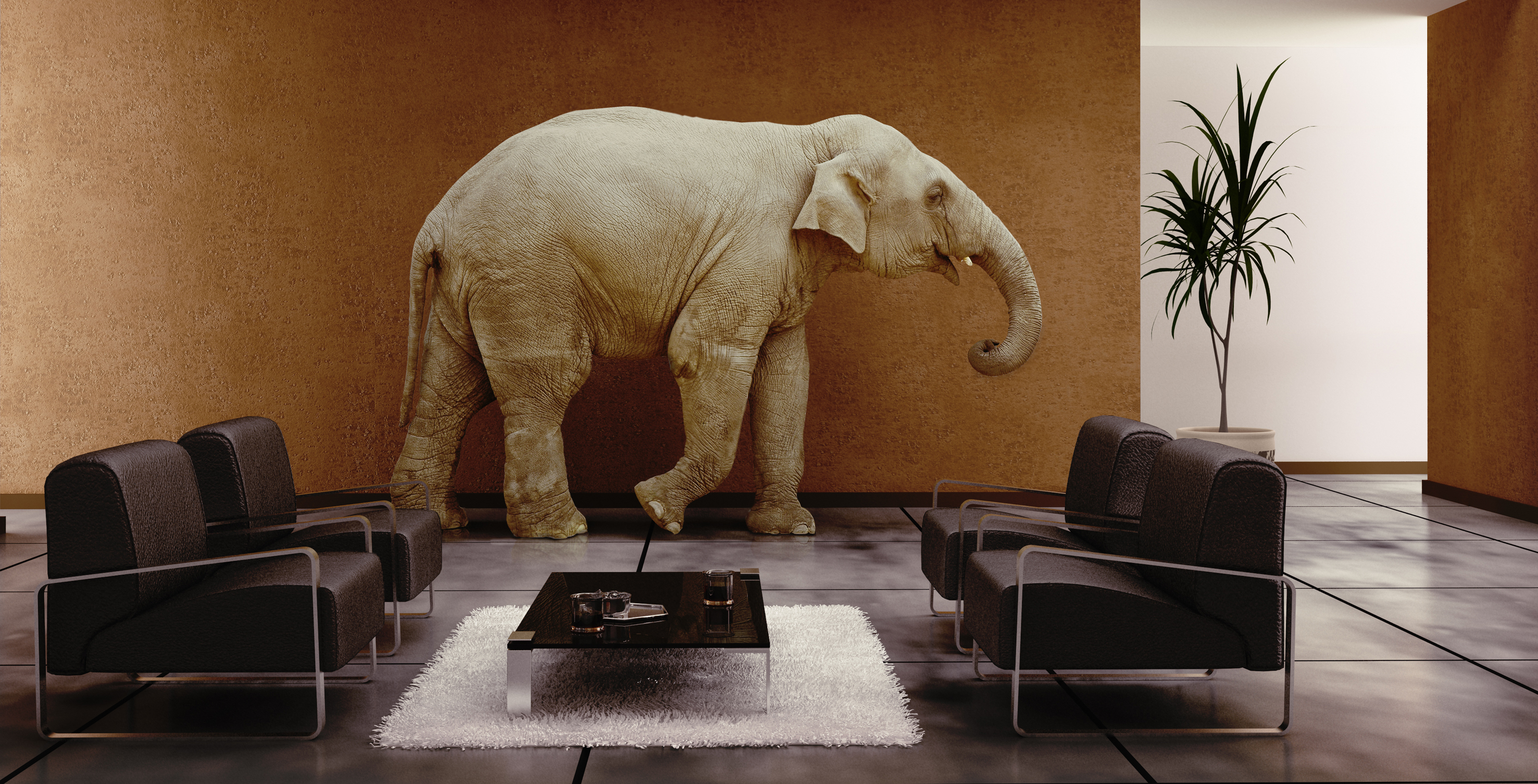 Elephant In The Room Office - HD Wallpaper 