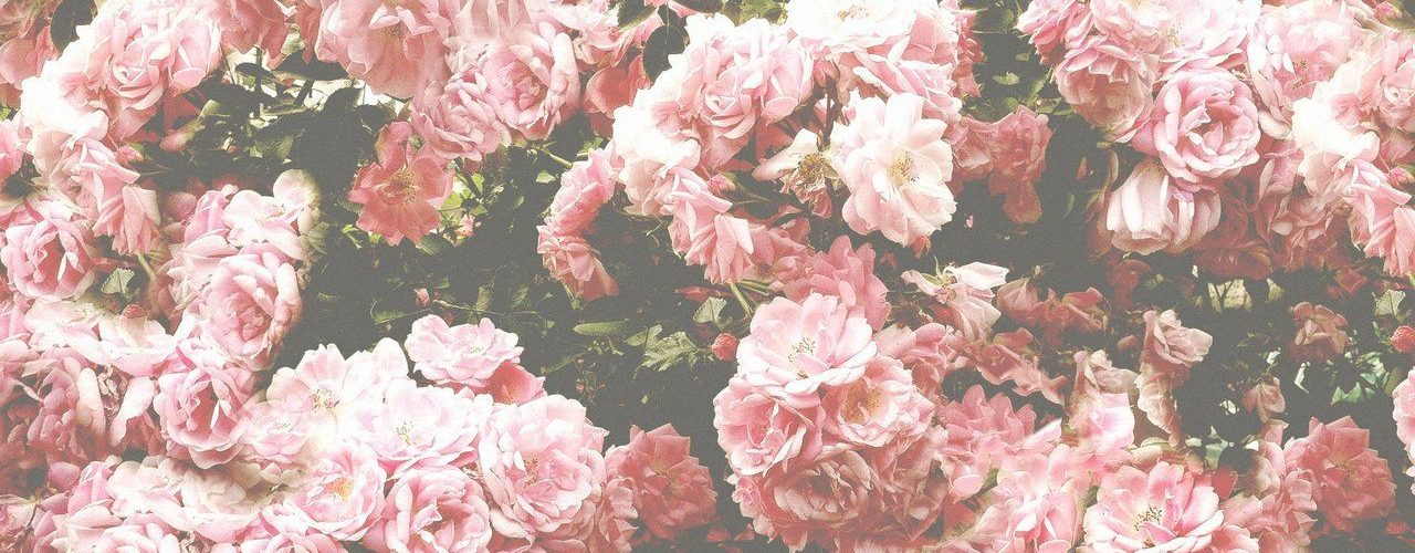 Tumblr Flower Backgrounds Wallpapers001 - HD Wallpaper 