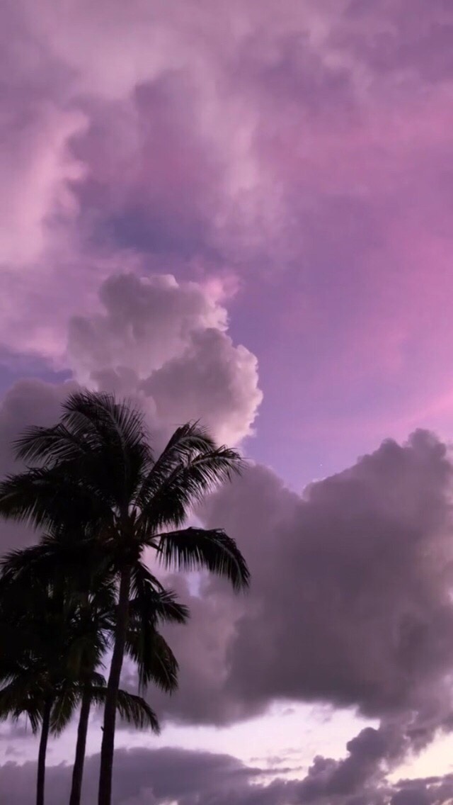 Image - Bts - HD Wallpaper 